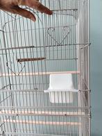 VOGELKOOI NIEUW, Dieren en Toebehoren, Ophalen of Verzenden, Nieuw, Metaal, Vogelkooi