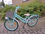 2Cycle 20 inch mintgroen, Ophalen, Gebruikt, 20 inch, 2cycle