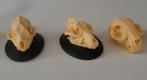 Miniatuur diersoorten schedeltjes 1:12, Verzamelen, Poppenhuizen en Toebehoren, Ophalen of Verzenden, Zo goed als nieuw, Decoratie