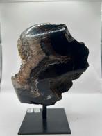 Prachtige Agaat op Standaard, Ophalen of Verzenden, Mineraal