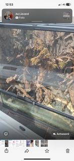 Exo terra xxl, Ophalen, Zo goed als nieuw, Terrarium of Paludarium