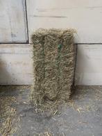 Fijn hooi 15 kilo balen, Ophalen of Verzenden, Zo goed als nieuw, Minder dan 10 meter