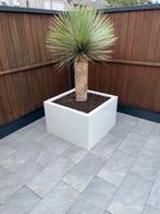 Vierkante plantenbakken op maat, 100 cm of meer, Vierkant, Nieuw, Metaal
