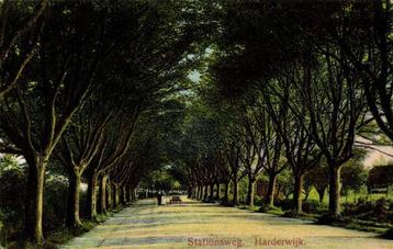 Stationsweg. Harderwijk. - 1912 gelopen beschikbaar voor biedingen