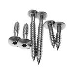 50-200 st Trespa schroeven RVS blank 5,5X45 mm gevel muur, Ophalen of Verzenden, Nieuw