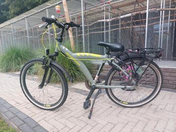 Batavus snake 24 inch beschikbaar voor biedingen