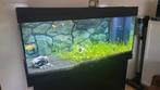 Juwel aquarium 180 liter met meubel – compleet met vissen, Ophalen, Gebruikt, Gevuld zoetwateraquarium