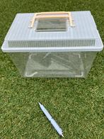 Reptielenbak, Dieren en Toebehoren, Reptielen en Amfibieën | Toebehoren, Ophalen, Terrarium of Paludarium