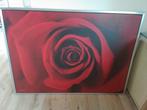 Schilderij met roos, Ophalen, Gebruikt, 125 cm of meer, Schilderij