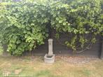 Blauwstenen water fontijn, Tuin en Terras, Planten | Bomen, Ophalen, Volle zon, Overige soorten
