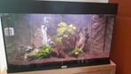 Aquarium juwel rio 125L, Ophalen, Gebruikt, Gevuld zoetwateraquarium