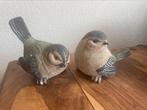 2 kunstvogels, Tropenvogel
