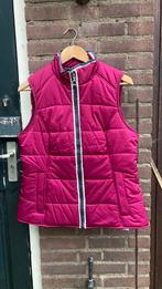 Ariat bodywarmer maat L, Dieren en Toebehoren, Paardrijkleding, Overige soorten, Ophalen of Verzenden, Zo goed als nieuw, Dames