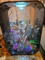 Biorb 60 liter Aquarium met Ledverlichting etc, Dieren en Toebehoren, Vissen | Aquaria en Toebehoren, Ophalen, Zo goed als nieuw