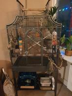 Montana Madeira 1, Dieren en Toebehoren, Ophalen, Zo goed als nieuw, Metaal, Vogelkooi