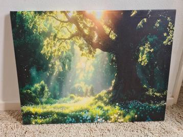 Canvas Foto - Zonnige Boom beschikbaar voor biedingen