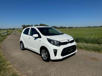 Kia Picanto 1.0 Cvvt 67pk 4-zits 2017 Wit beschikbaar voor biedingen