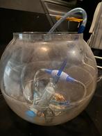 Mega grote vissenkom circa 45cm hoog ook voor planten ed, Ophalen, Leeg aquarium