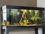 Juwel rio 240, hvp goldline verlichting, Dieren en Toebehoren, Ophalen, Zo goed als nieuw, Gevuld zoetwateraquarium