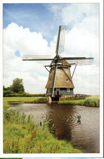 (NH474) Ansichtkaart Uitgeest molen De Dorregeester beschikbaar voor biedingen