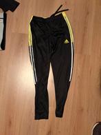 Adidas trainingsbroek heren S - aeroready geel, Kleding | Heren, Ophalen of Verzenden, Zo goed als nieuw, Maat 46 (S) of kleiner