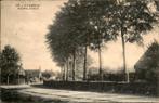 Wemeldinge - Lindeboom - 1915 - Kapelle, Verzamelen, Ansichtkaarten | Nederland, Zeeland, Gelopen, Ophalen of Verzenden, Voor 1920