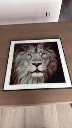 Schilderij met glas en zwarte rand, Ophalen, Zo goed als nieuw, Hout, 50 tot 75 cm