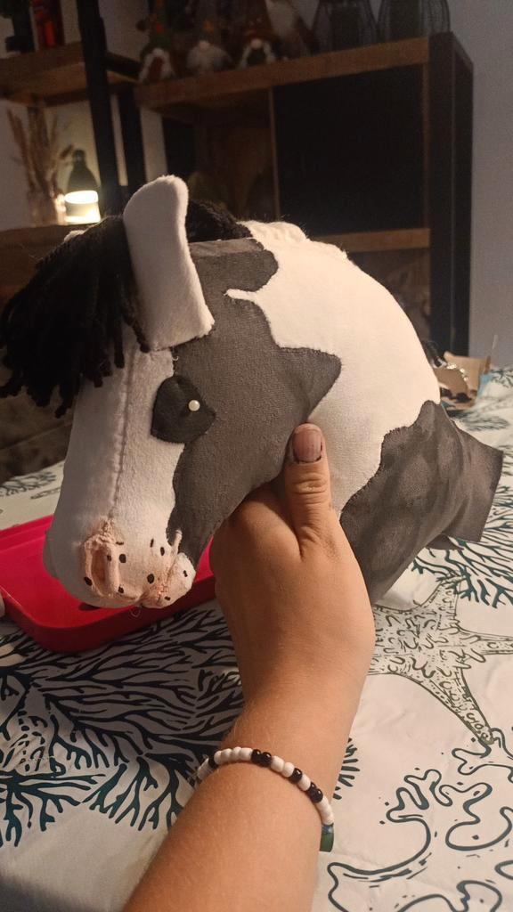 BBS hobbyhorse tekoop!, Hobby en Vrije tijd, Overige Hobby en Vrije tijd, Zo goed als nieuw, Ophalen of Verzenden