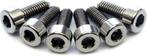 6 Floyd Rose / Ibanez Intonation Locking Screws, Ophalen of Verzenden, Nieuw, Elektrische gitaar