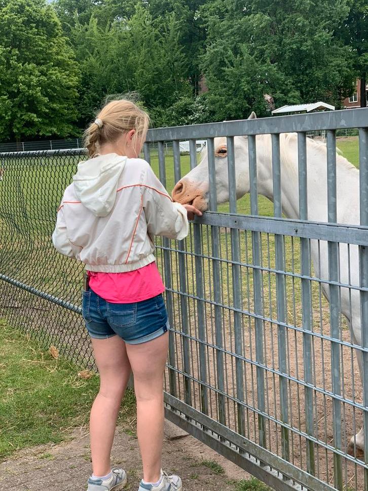 Gevraagd : verzorgponny of helpende hand bij een stal, Vacatures, Vacatures | Vakantiewerk