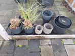Tuinplanten en plantenbakken, Ophalen, Kunststof, Gebruikt, Minder dan 60 cm