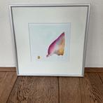 aquarel Kip met gouden ei, Antiek en Kunst, Kunst | Schilderijen | Modern, Ophalen of Verzenden