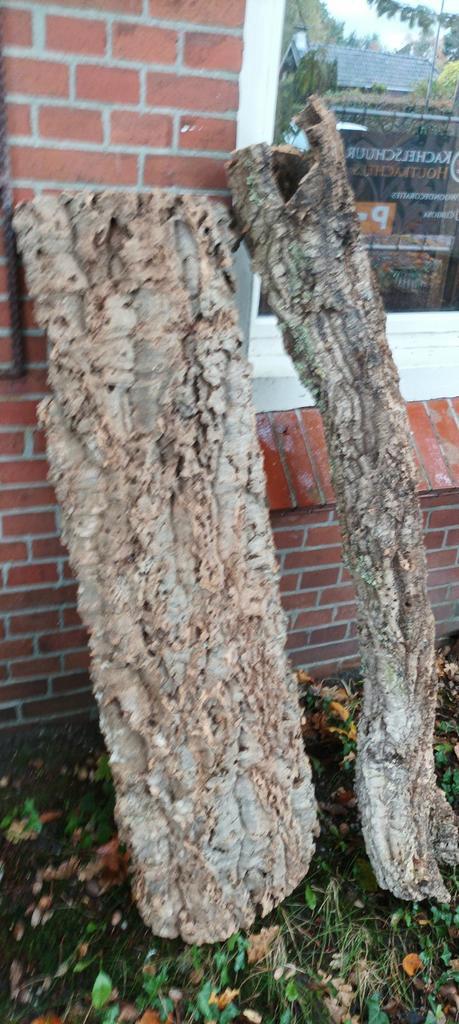 Grote en kleine stukken kurk voor Terrarium en of verblijven, Dieren en Toebehoren, Reptielen en Amfibieën | Toebehoren, Zo goed als nieuw