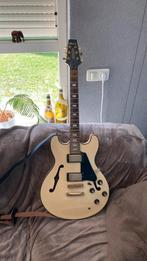 Aria pro 2 ta 60 special edition, Ophalen, Gebruikt, Hollow body, Overige merken