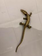 Koperen hagedis 22 cm, Ophalen, Koper