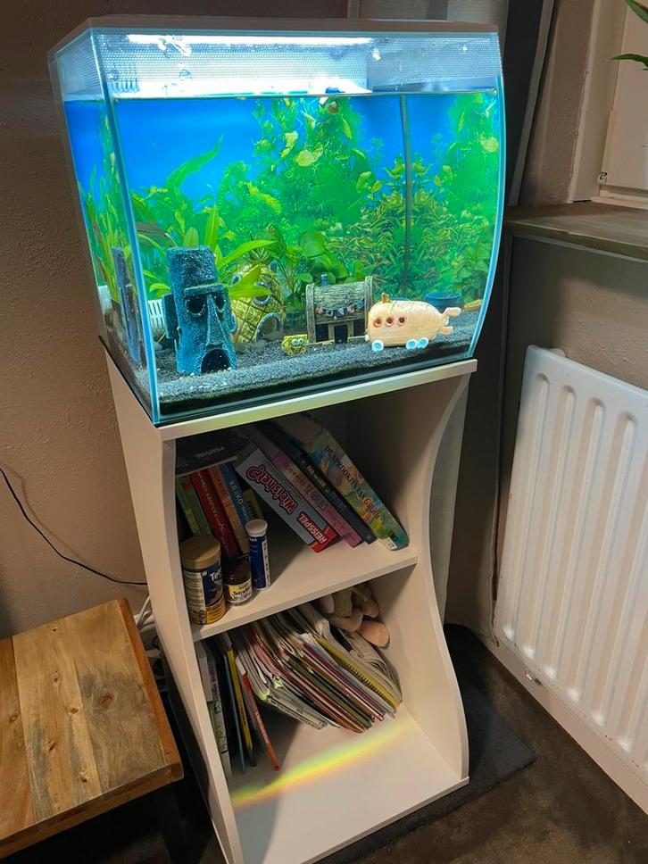 Fluval Flex aquarium inclusief onderkast., Dieren en Toebehoren, Vissen | Aquaria en Toebehoren, Zo goed als nieuw, Gevuld zoetwateraquarium