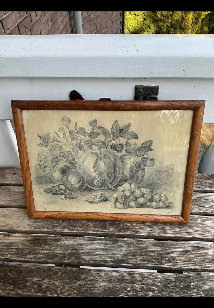 Stilleven potlood 1869. Pompoen, appel, druif, walnoot, kers, Ophalen of Verzenden