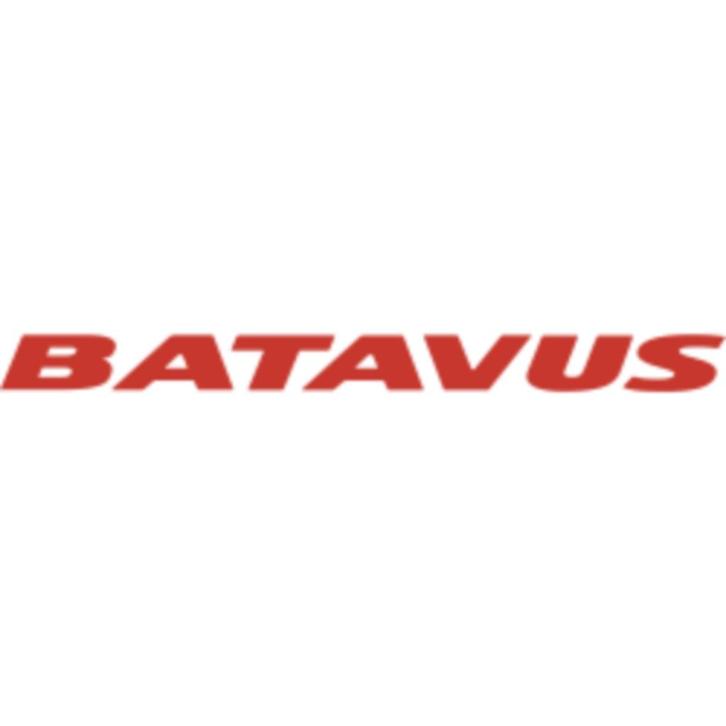 BATAVUS FIETSEN GROOTSTE ASSORTIMENT BIJ MEGA BIKE, Fietsen en Brommers, Elektrische fietsen, Nieuw, Batavus, 50 km per accu of meer