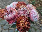 CHRYSANT ANANAS- KUNST - 2 KLEUREN, Huis en Inrichting, Ophalen of Verzenden, Nieuw