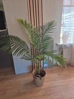 Grote kunstplant / palm., Ophalen of Verzenden, Zo goed als nieuw