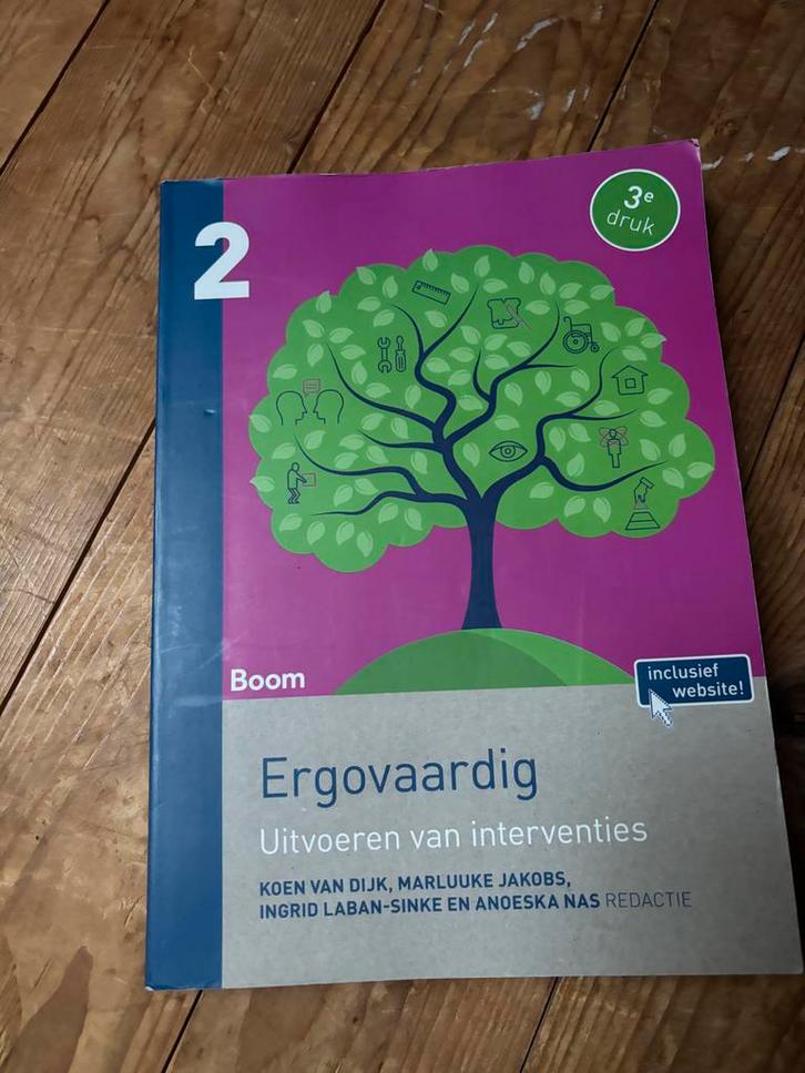 Boom - Ergovaardig 2 - 3e druk - Koen van Dijk, Boeken, Studieboeken en Cursussen, Zo goed als nieuw, HBO, Alpha, Ophalen of Verzenden