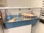 Hamsterkooi met goudhamster, Dieren en Toebehoren, Minder dan 60 cm, Kooi, Gebruikt, Minder dan 75 cm