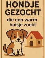 Gezocht: lieve hond voor mijn vader, Diensten en Vakmensen