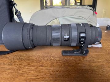 Sigma DG 15-500 mm 5-6.3 APO HSM objectief lens beschikbaar voor biedingen