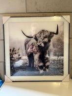 Countryfield Schilderijen 3 stuks - nieuw in verpakking, Ophalen of Verzenden, Nieuw, Schilderij, Minder dan 50 cm