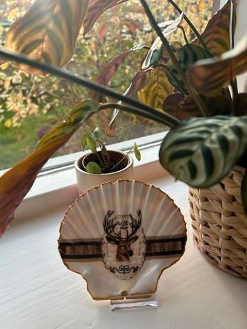 Handgemaakte Oester Cadeautjes - Persoonlijk Ontwerp! beschikbaar voor biedingen