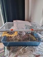 Ferplast hamsterkooi, Dieren en Toebehoren, Knaagdieren en Konijnen | Hokken en Kooien, Ophalen