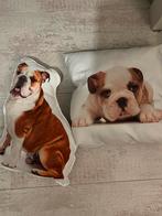 Engelse bulldog kussentjes, Ophalen