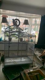 40€ Grote Vogel kooi aangeboden, Dieren en Toebehoren, Vogels | Hokken en Kooien, Ophalen, Gebruikt, Metaal, Vogelkooi