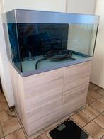 groot aquarium met verlichting, pomp en kast, Dieren en Toebehoren, Ophalen, Zo goed als nieuw, Leeg aquarium